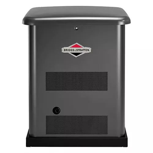 Briggs & Stratton G80 газовый генератор 40495