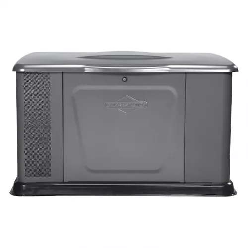 Briggs & Stratton G110 газовый генератор 40491